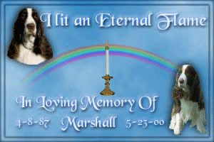 Light A Candle for Marshall
